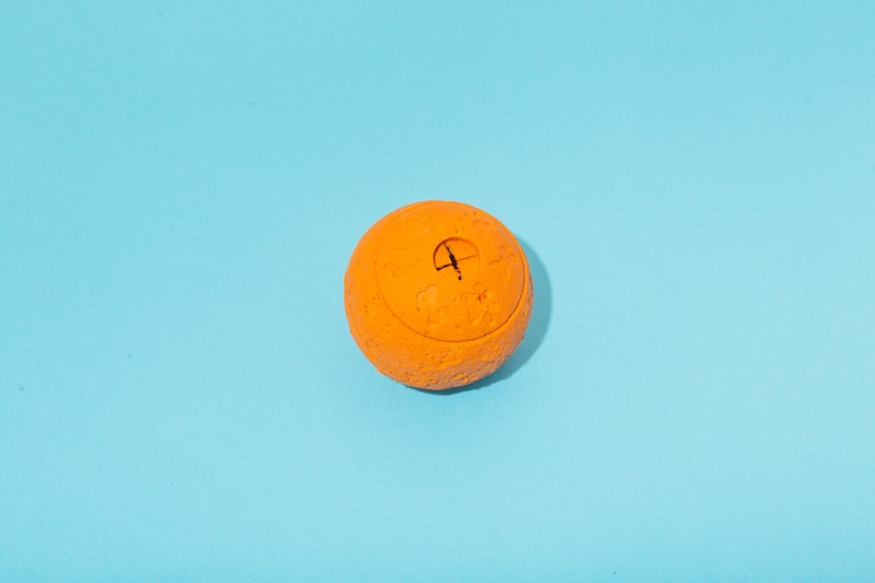 PawPal Rubber Fetch Ring
