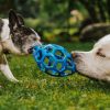 PawPal Dental Chew Toy