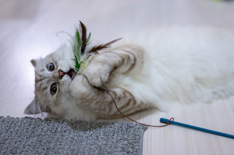 PawPal Catnip Plush Fish