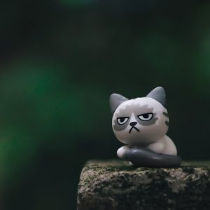 PawPal Cat Ball Tower