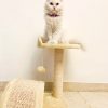 PawPal Catnip Plush Bird