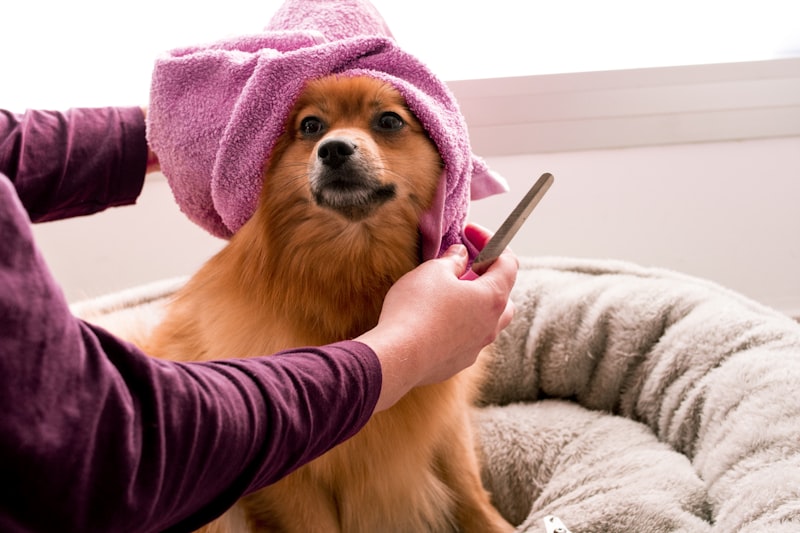 PawPal Pet Cologne Spray