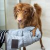 PawPal Deodorizing Spray