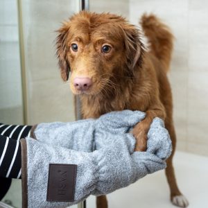 PawPal Deodorizing Spray
