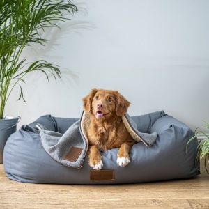 PawPal Orthopedic Dog Bed
