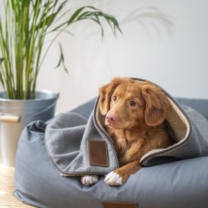 PawPal Heated Pet Bed