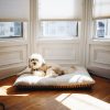PawPal Outdoor Dog Bed