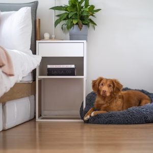 PawPal Waterproof Dog Bed