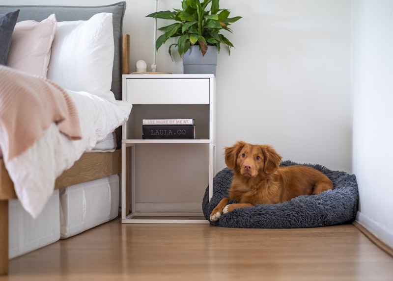 PawPal Waterproof Dog Bed