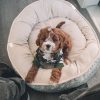 PawPal Dog Crate Pad