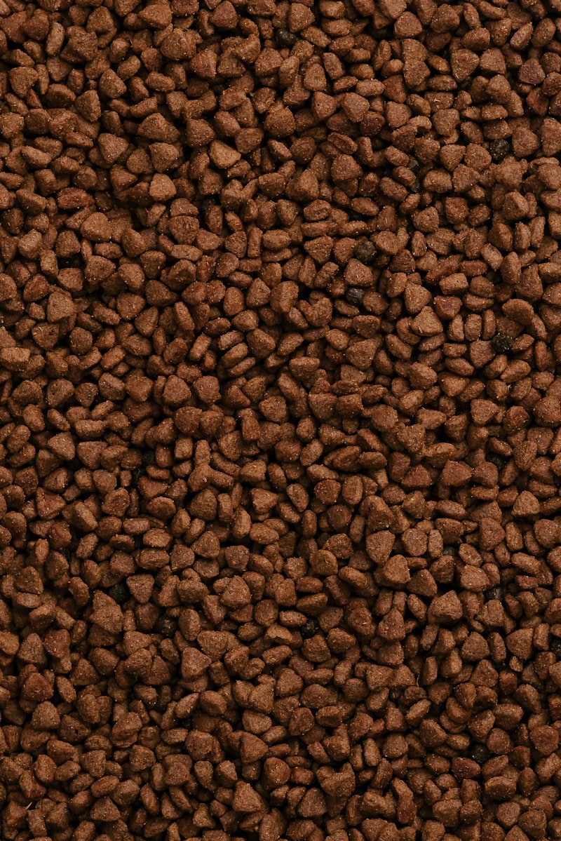 PawPal Large Breed Dog Food 30lb
