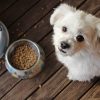 PawPal Sensitive Stomach Dog Food 12lb