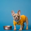 PawPal Organic Chicken Dog Food 10lb