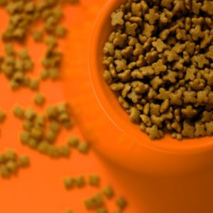 PawPal Bison & Rice Dog Food 17lb