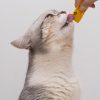 PawPal Tuna & Shrimp Cat Food 7lb