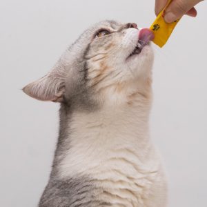 PawPal Tuna & Shrimp Cat Food 7lb