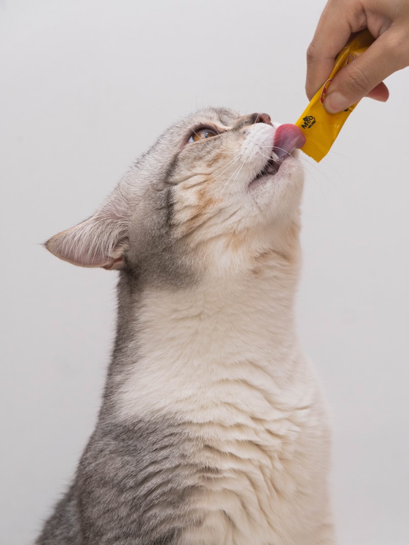 PawPal Tuna & Shrimp Cat Food 7lb