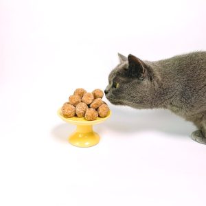 PawPal Grain-Free Turkey Cat Food 5lb