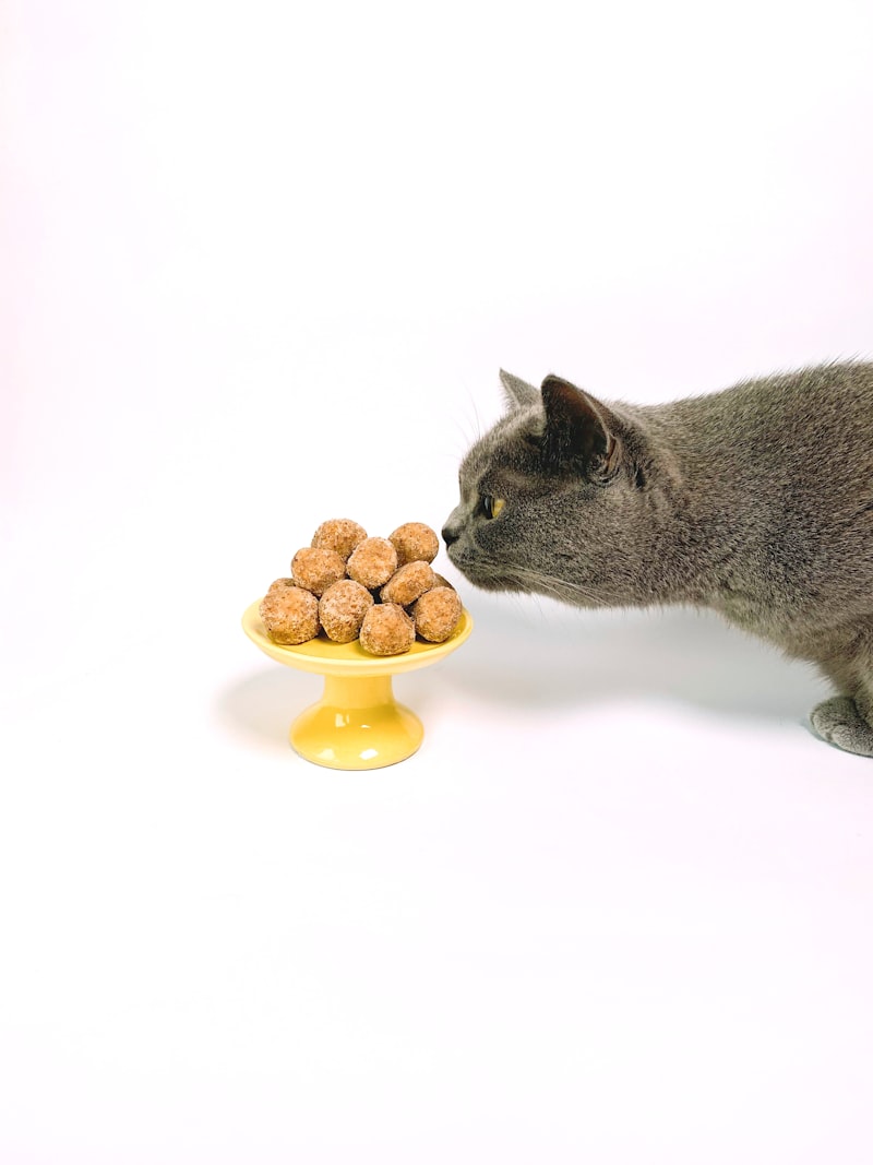 PawPal Grain-Free Turkey Cat Food 5lb