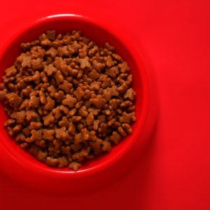 PawPal Mackerel Cat Food 7lb