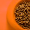 PawPal Sensitive Digestion Cat Food 5lb