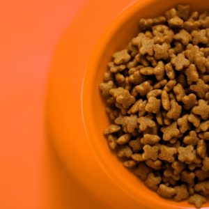 PawPal Sensitive Digestion Cat Food 5lb