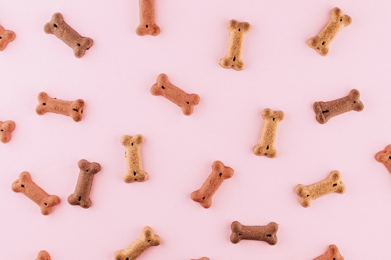 PawPal Rubber Chew Bone