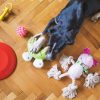 PawPal Flying Disc