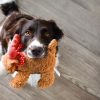 PawPal Durable Rope Ball