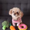 PawPal Tug of War Toy
