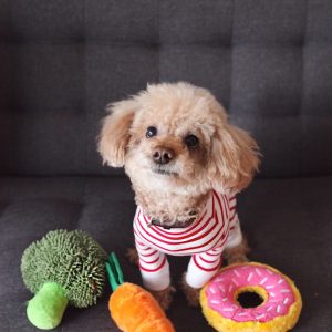 PawPal Tug of War Toy