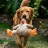 PawPal Squeaky Tennis Ball